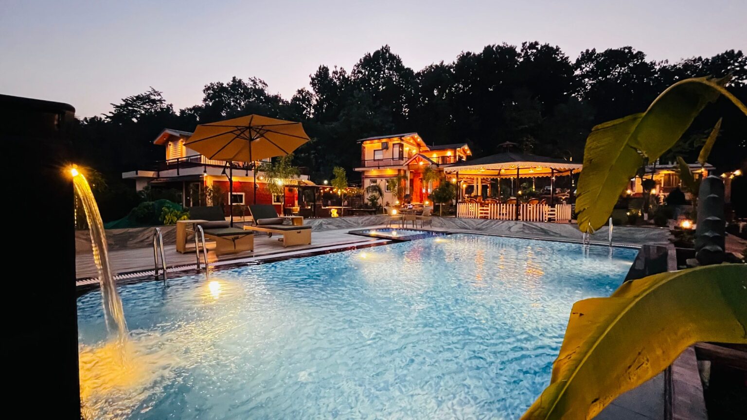 WhatsApp Image 2026-02-12 at 11.44.42 AM (1)